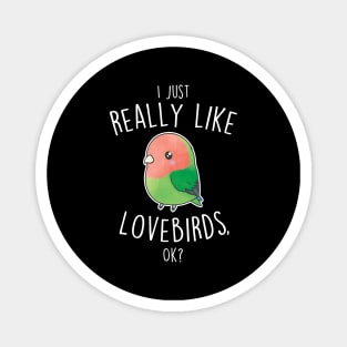 Really Like Peach-Faced Lovebird Parrot Magnet